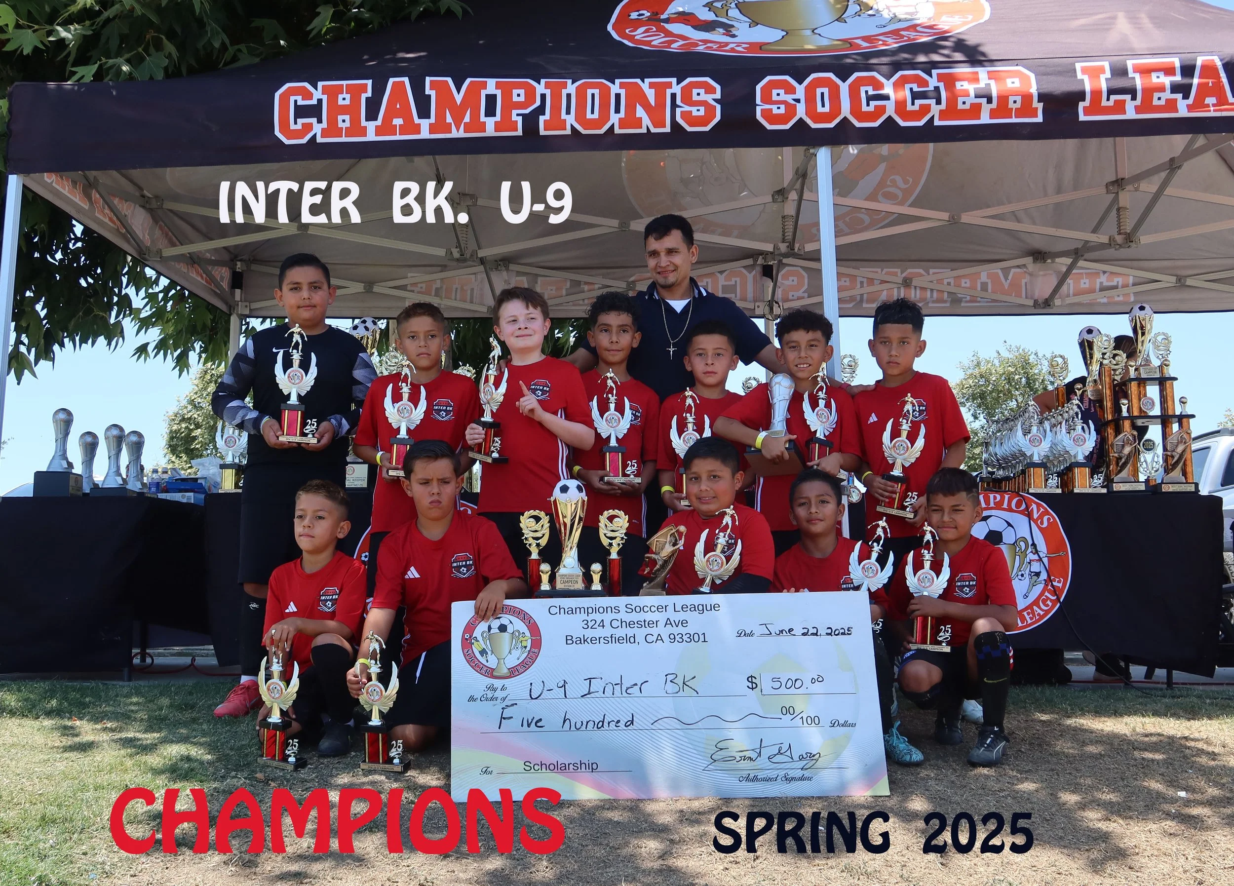 Sports League - Champions Soccer League